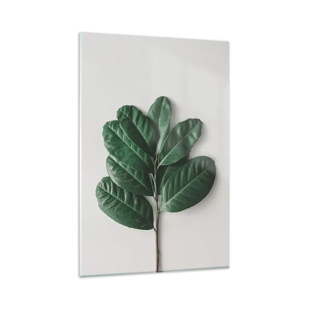 Quadro em vidro - Desenho da própria natureza - 80x120 cm