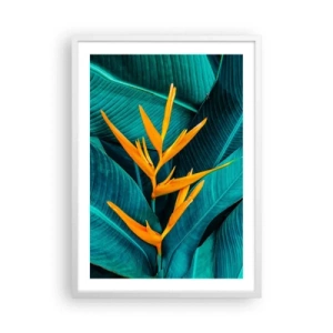 Pôster em moldura branca - Flor do Éden - 50x70 cm
