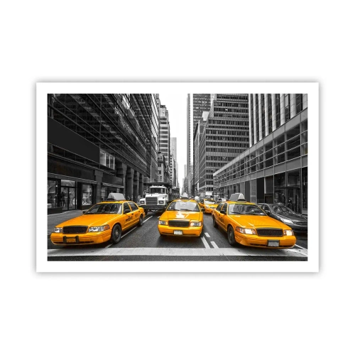 Pôster - Somos a cor da cidade - 91x61 cm