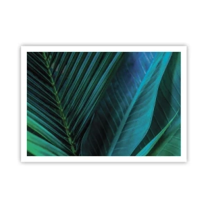 Pôster - Anatomia da vegetação - 100x70 cm