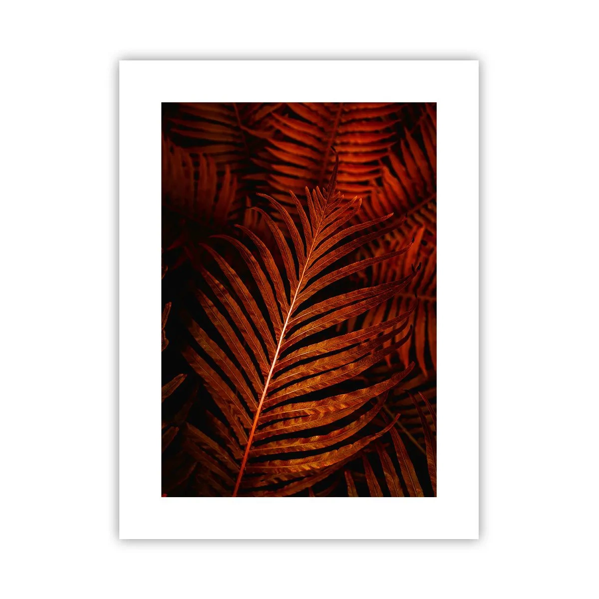 Pôster - O calor da vida - 30x40 cm