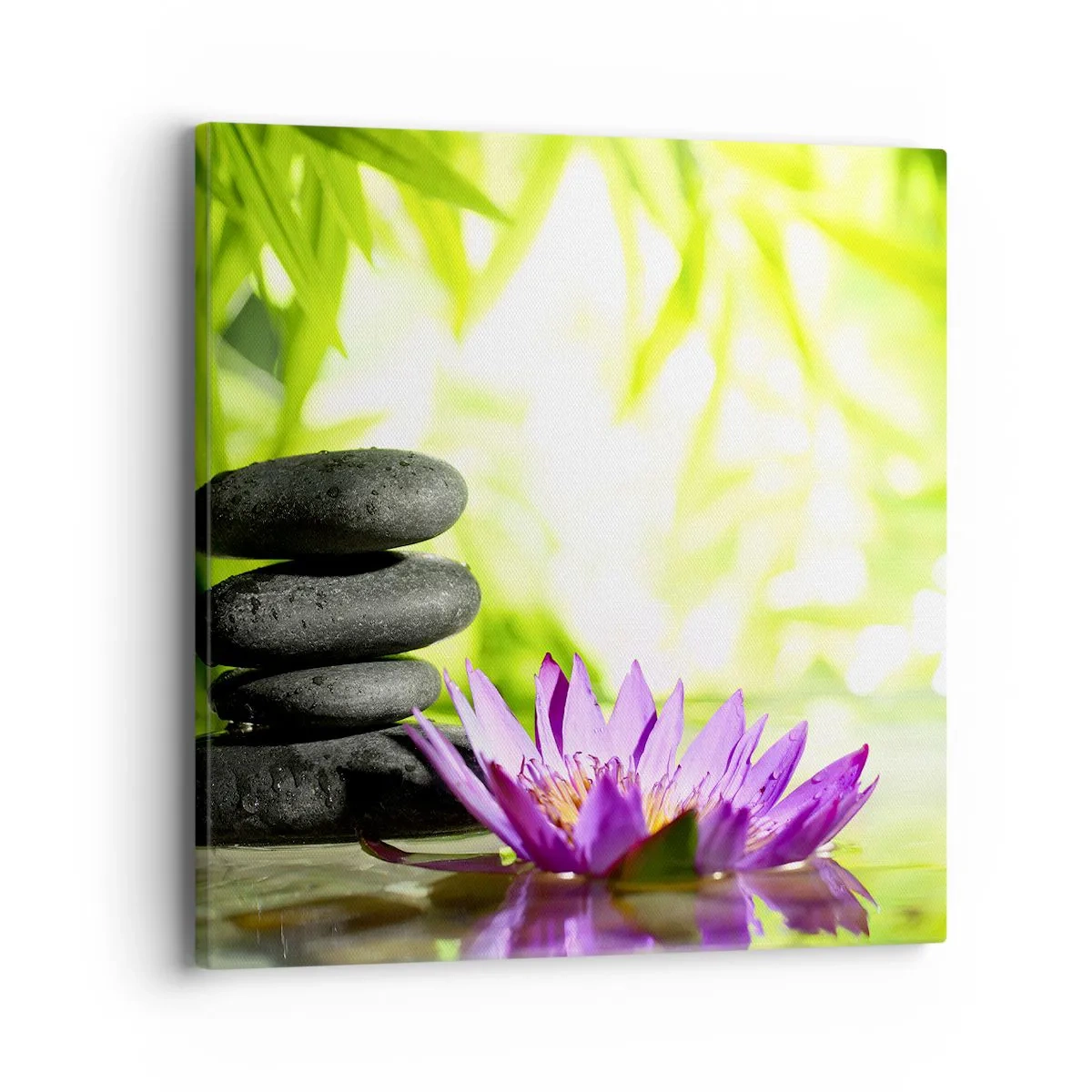 Quadro em tela - Em um arbusto de bambu - 40x40 cm