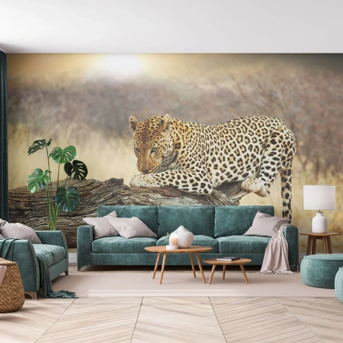 Papel de Parede Premium Canvas - Eu sigo o meu próprio caminho - Animais, leopardo, África - 200x140 cm
