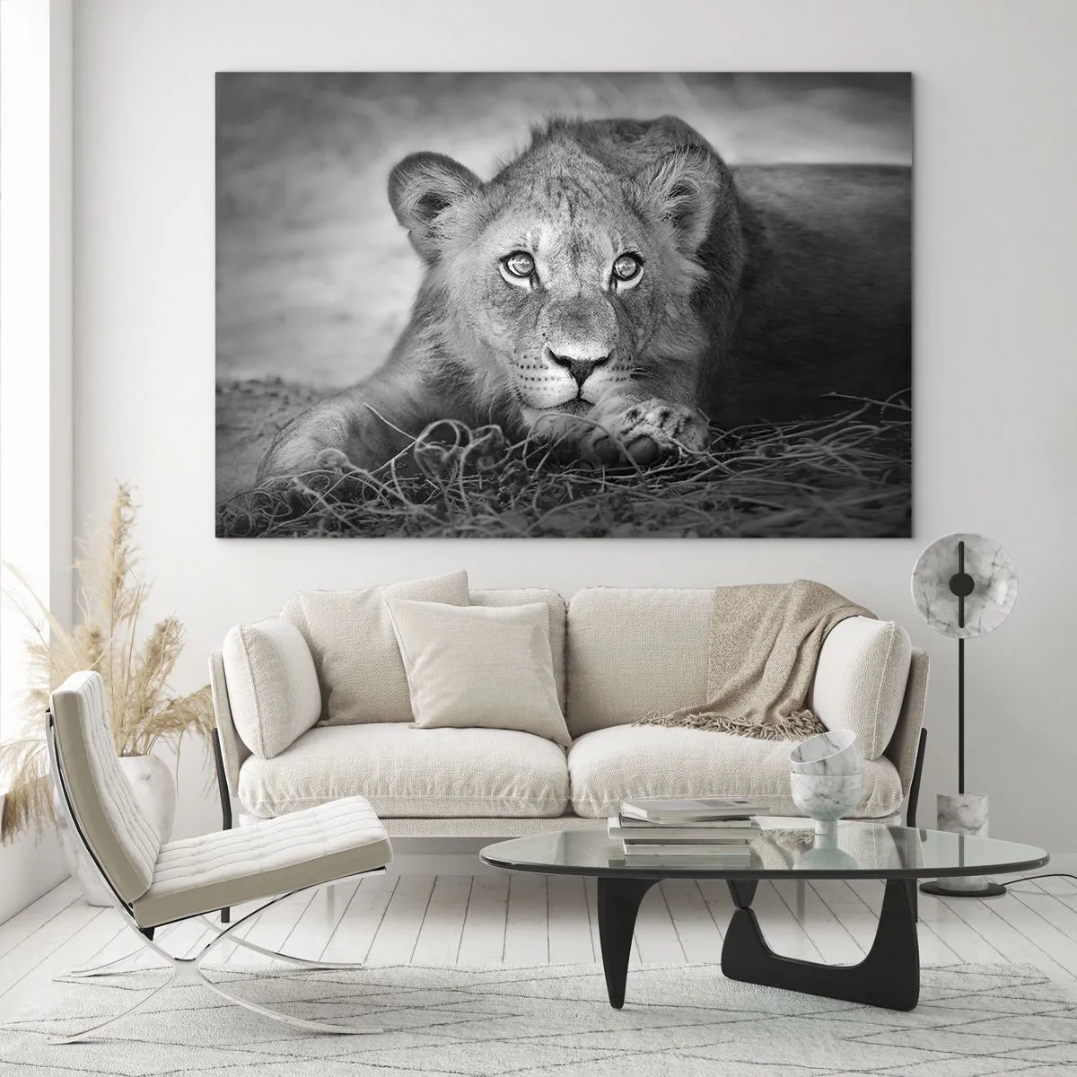 Quadro em vidro - Um filhote de leão em preto e branco olhando para a câmera - 70x50cm - Cachorro real - Decoração de parede moderna para a sala de estar e quarto ARTTOR