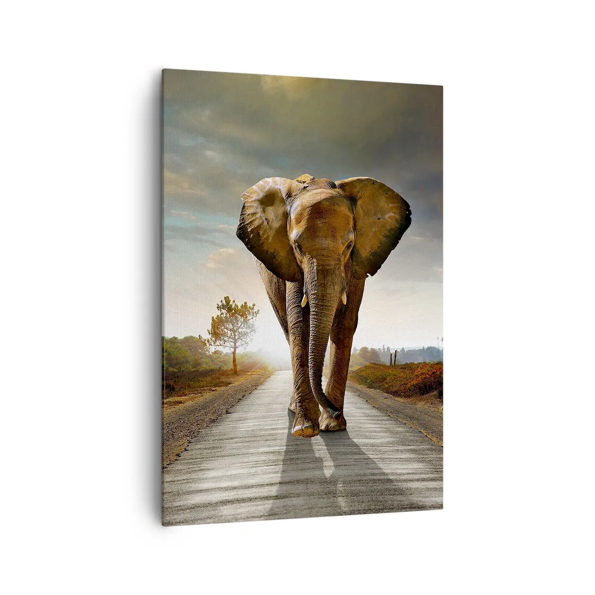 Quadro em tela - Não faz parte da composição da porcela - 70x100 cm