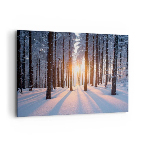 Quadro em tela - Preto no branco - 100x70 cm