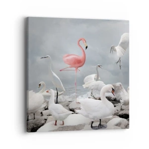 Quadro em tela - Como vim parar aqui? - 40x40 cm