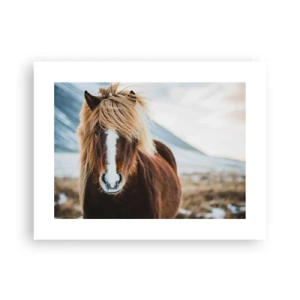 Pôster - Sentes a liberdade? - 40x30 cm