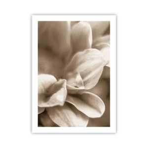 Pôster - Gentil como um sorriso - 50x70 cm