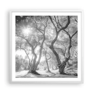 Pôster em moldura branca - No olival - 60x60 cm