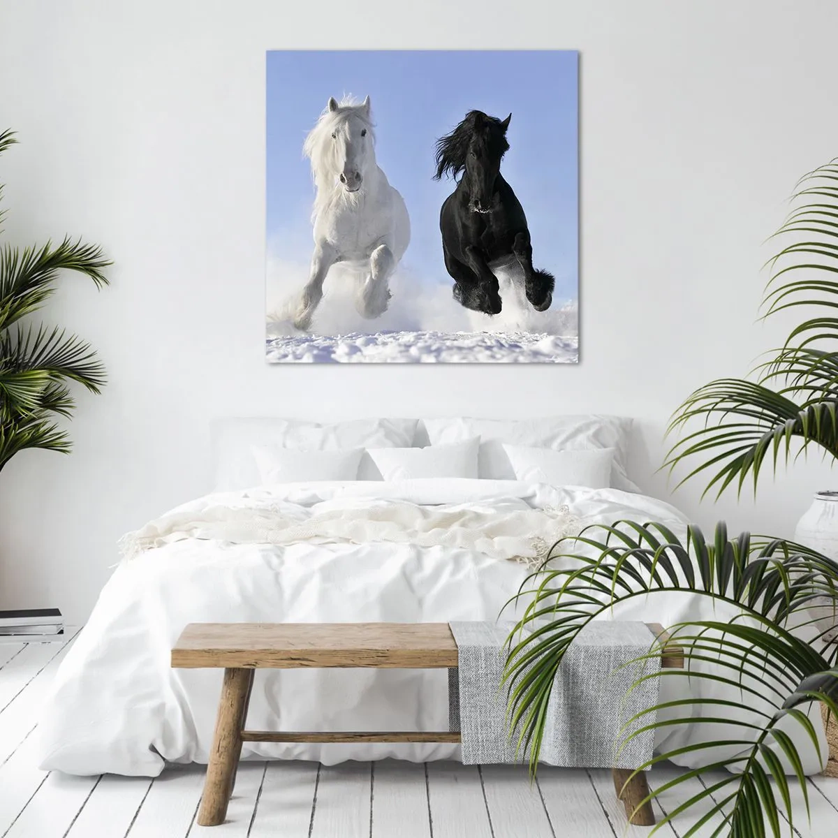 Quadro em tela - Galope preto e branco - 70x70 cm