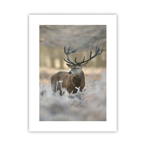 Pôster - Uma manhã fresca - 30x40 cm