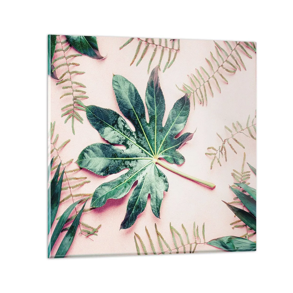 Quadro em vidro - Estudo do verde em um fundo rosa - 70x70 cm