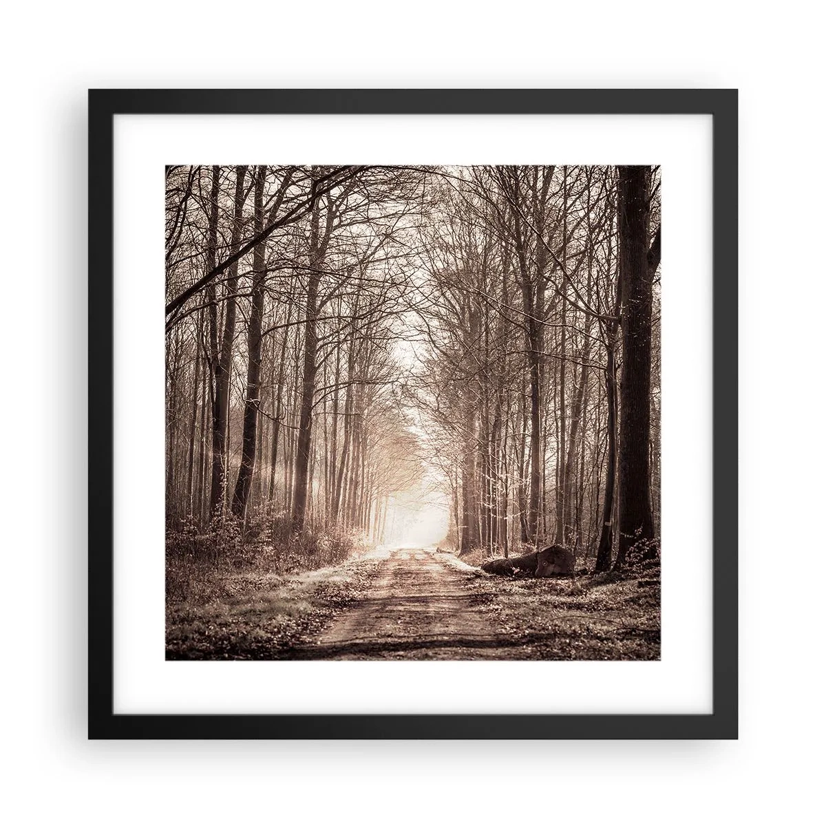 Pôster com moldura preta - Catedral na Floresta - 40x40 cm
