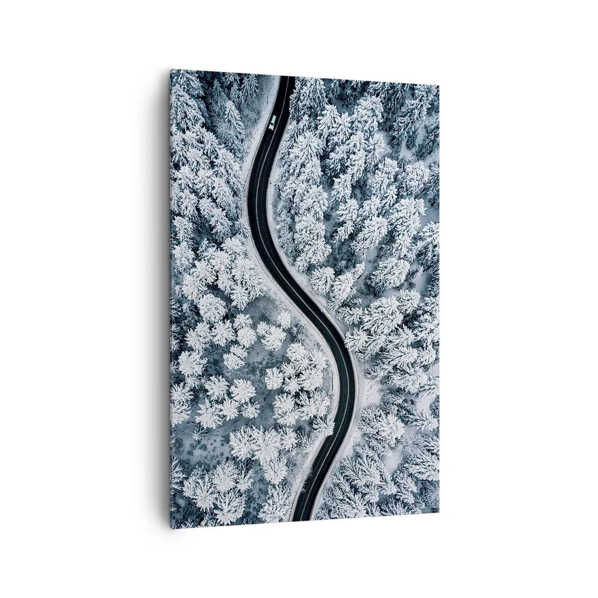 Quadro em tela - Pelaa floresta no inverno - 80x120 cm