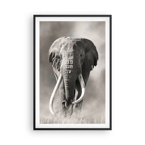 Pôster com moldura preta - Patriarca africano - 61x91 cm