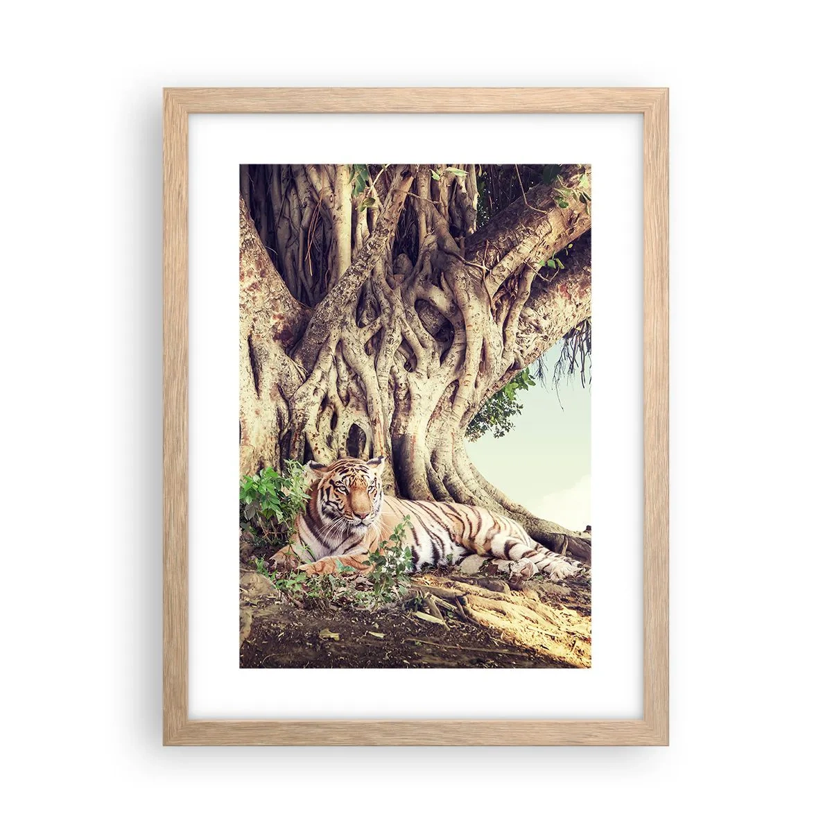 Pôster com moldura de carvalho claro - Vista do livro de Gênesis - 30x40 cm