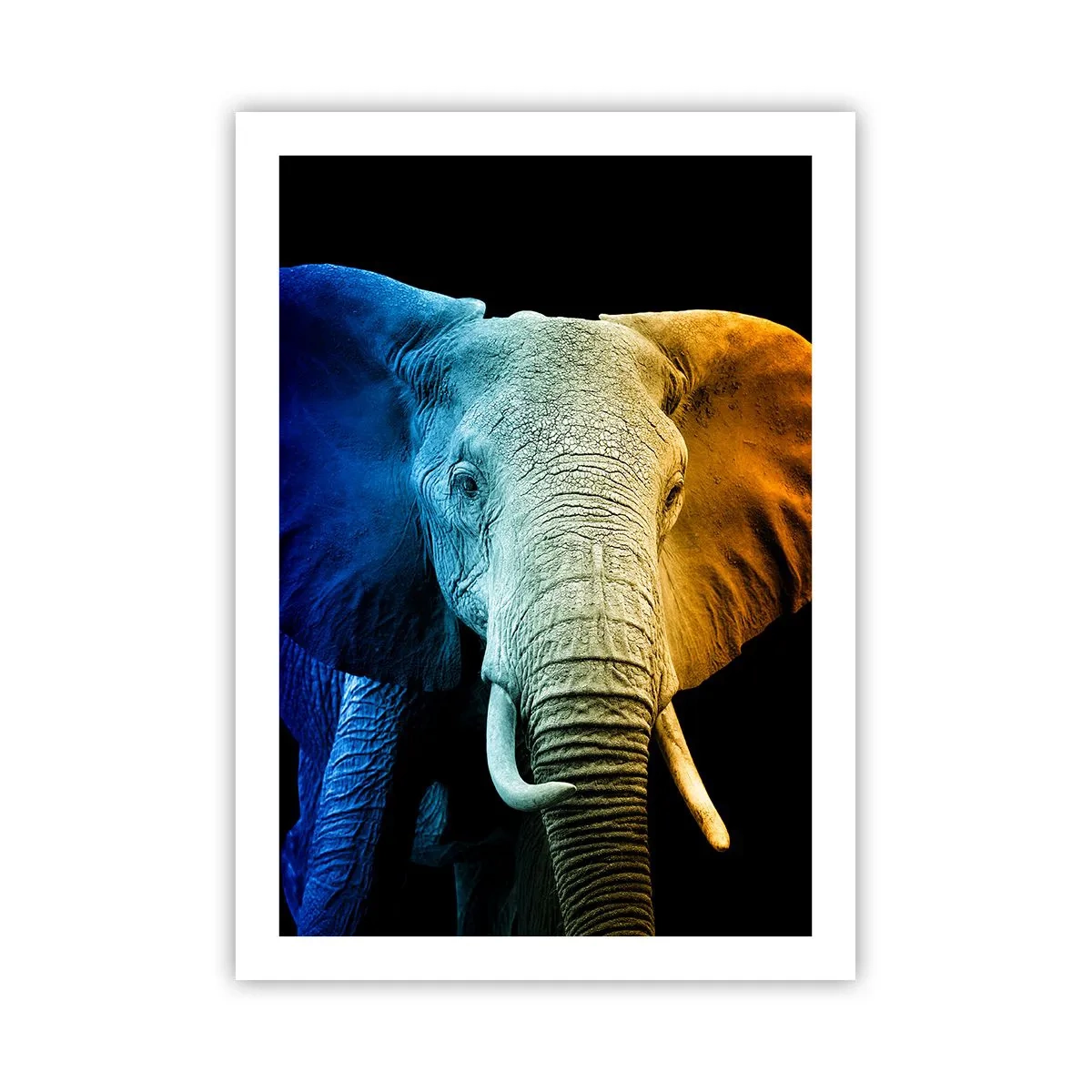 Pôster - Excêntrico, não esquisito - 50x70 cm