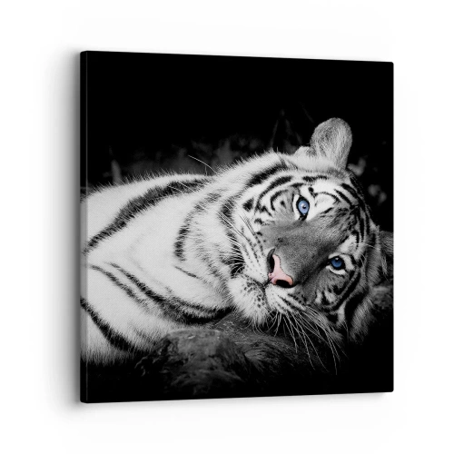 Quadro em tela - Selvagem e tranquilo - 30x30 cm