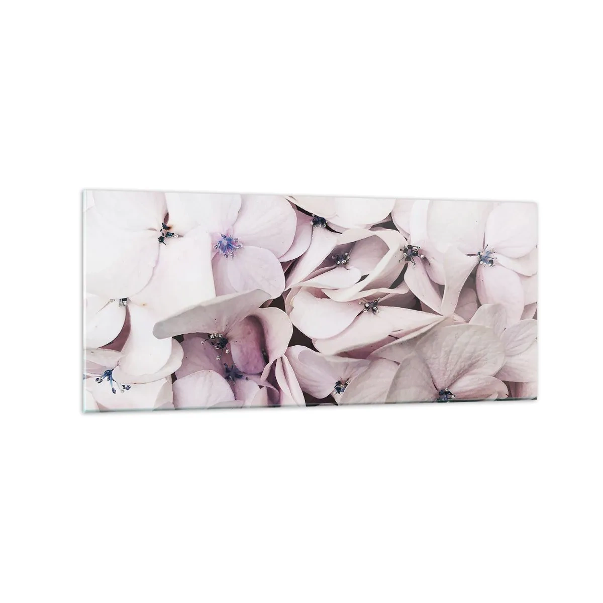 Quadro em vidro - Em uma inundação de flores - 120x50 cm