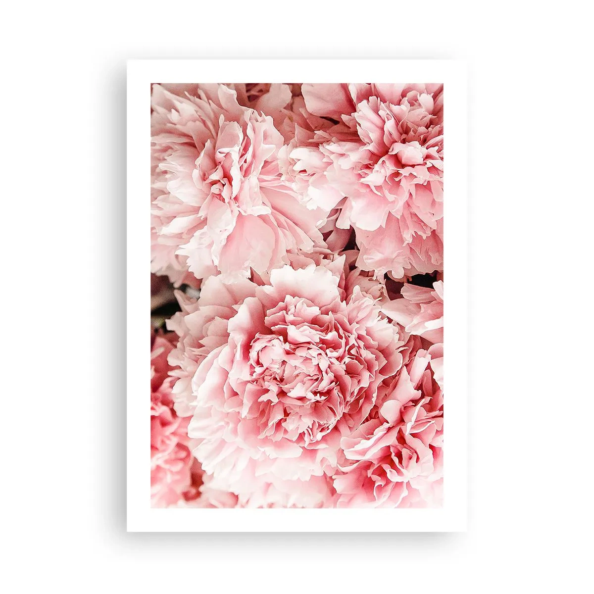Pôster - Sonho rosa - 50x70 cm