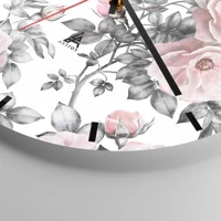 Mostrador com traços