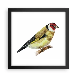 Pôster com moldura preta - Retrato de um pássaro - 30x30 cm