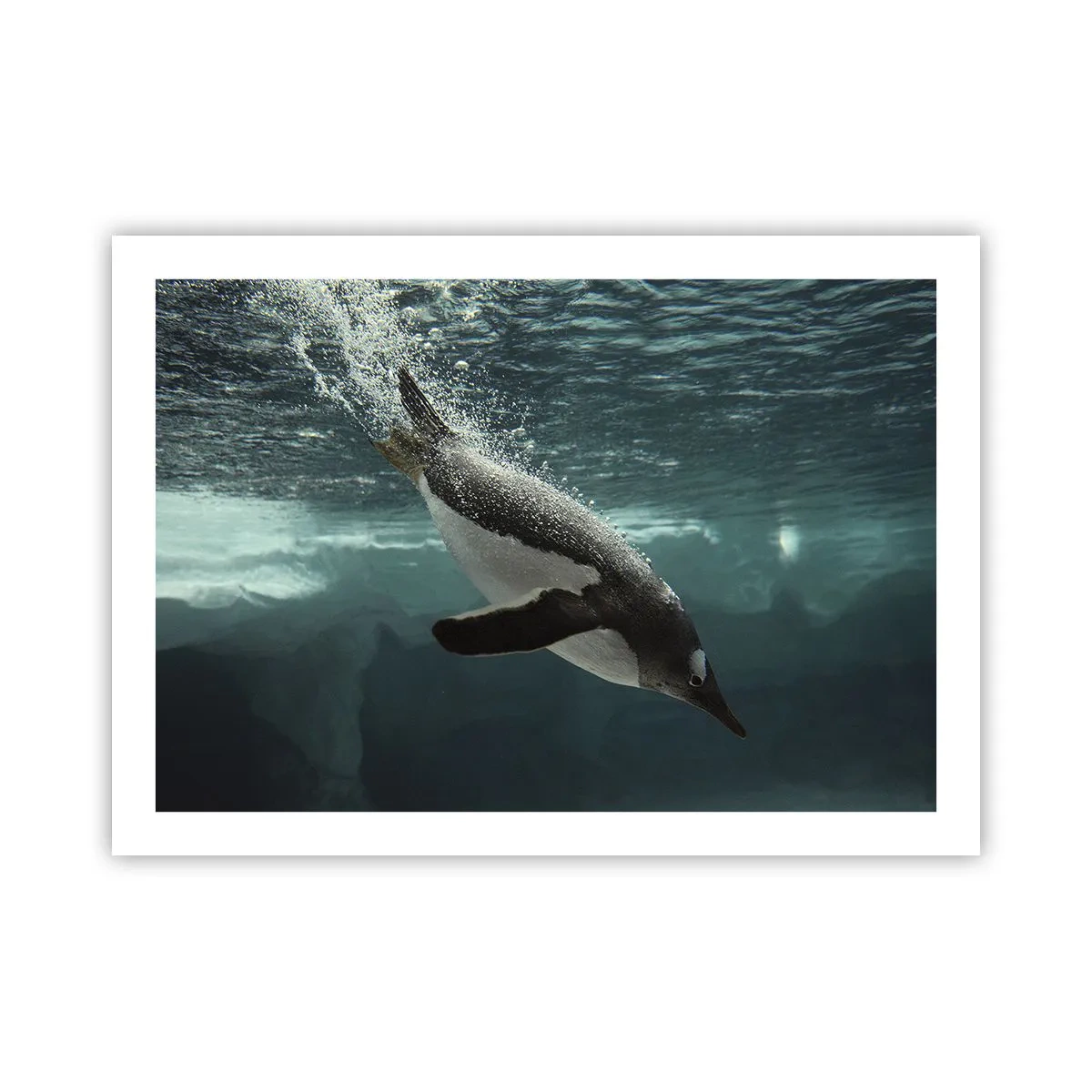 Pôster - Bem-vindo ao meu mundo - 70x50 cm