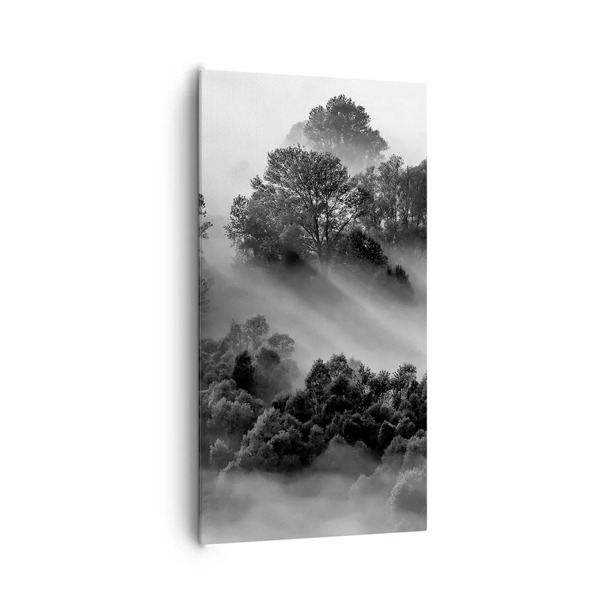 Quadro em tela - Levantar-se do sono - 65x120 cm
