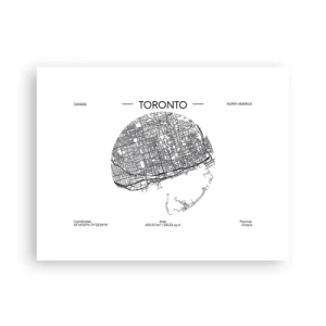 Pôster - Anatomia de Toronto - 40x30 cm