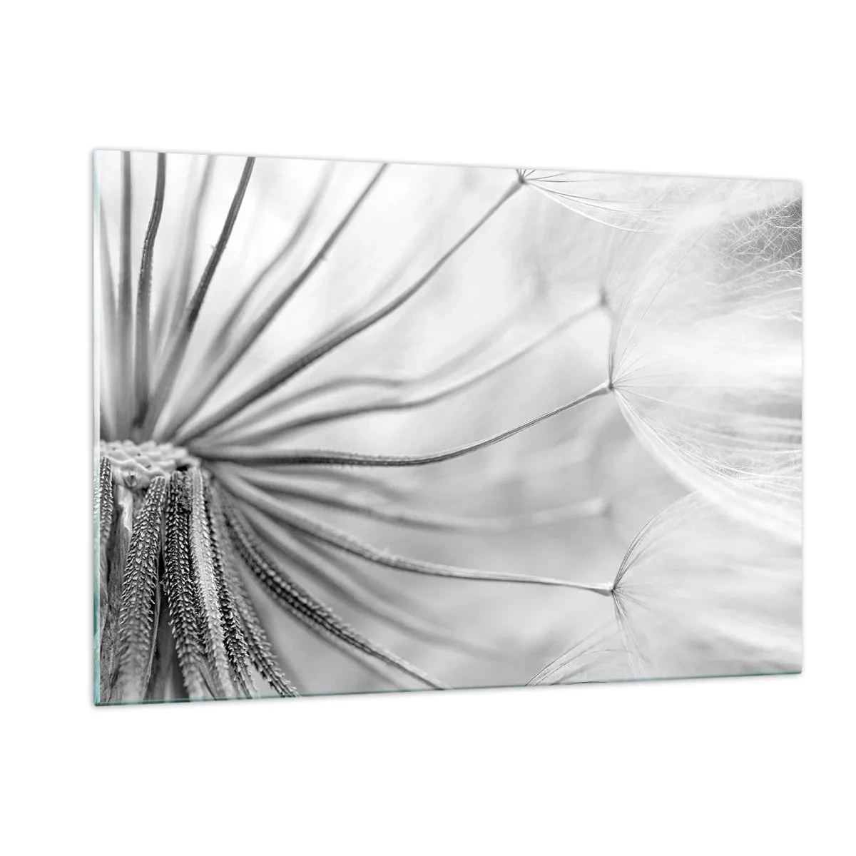 Quadro em vidro - Dentes de leão, pipas - 120x80 cm