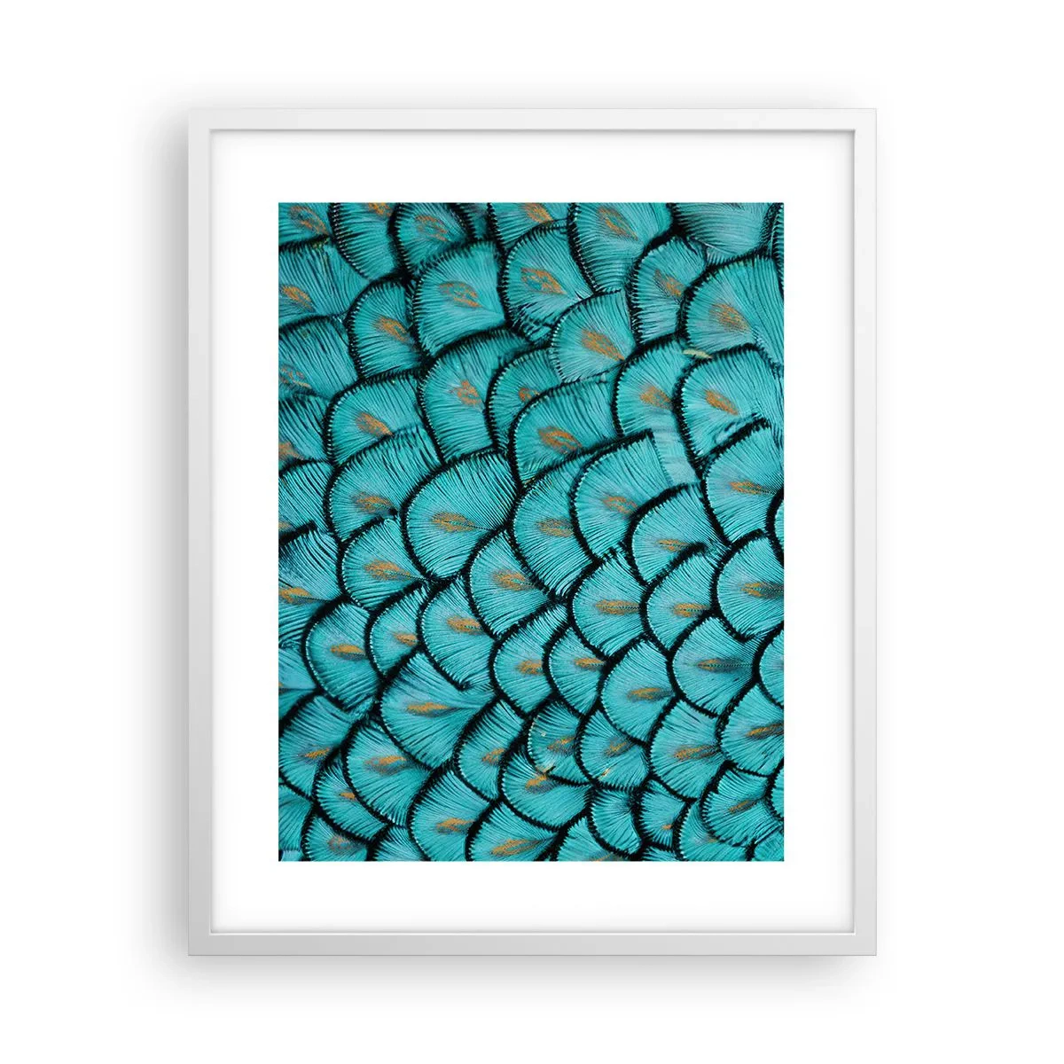 Pôster em moldura branca - A grande gala de penas - 40x50 cm