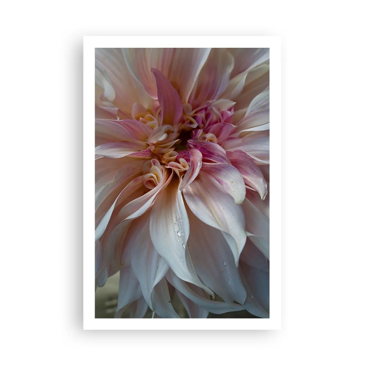 Pôster - Frescor florescente - 61x91 cm