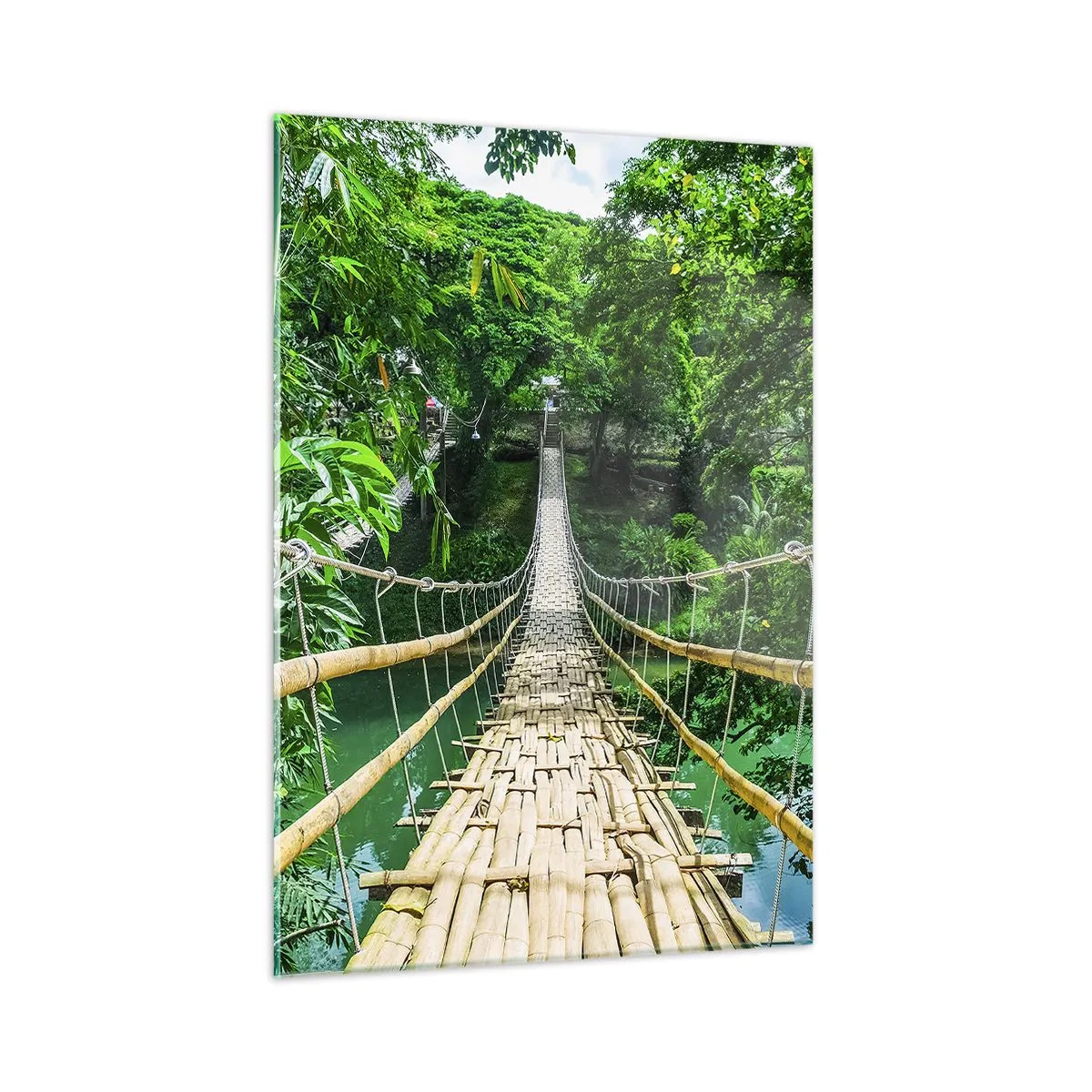 Quadro em vidro - Ponte de macacos sobre a vegetação - 50x70 cm