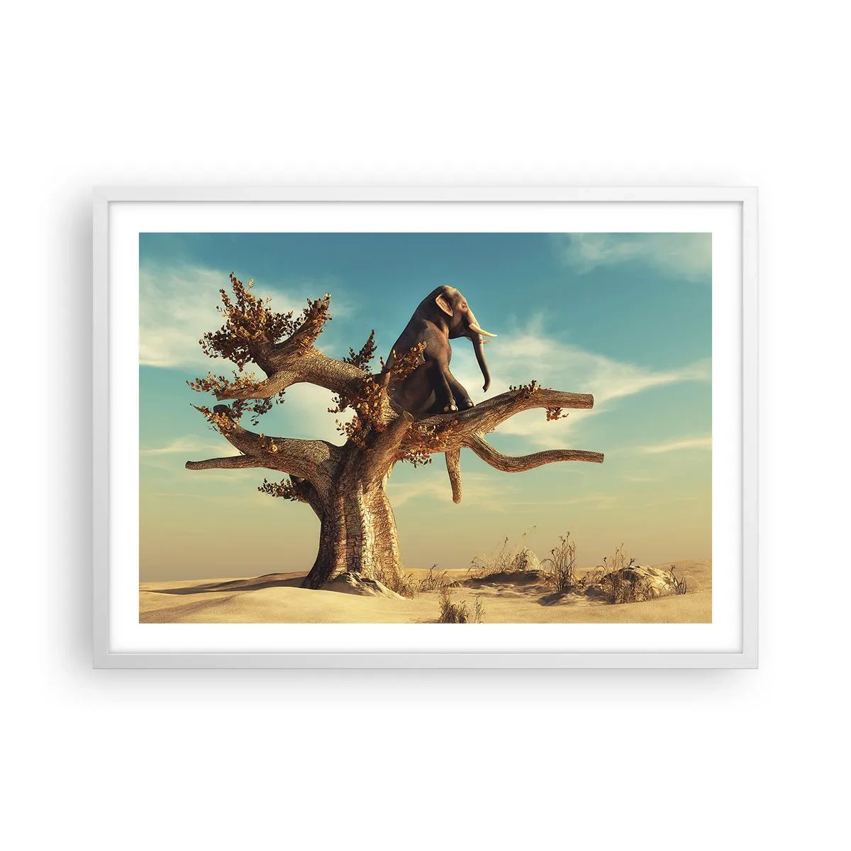 Pôster em moldura branca - Um novo ponto de vista - 70x50 cm