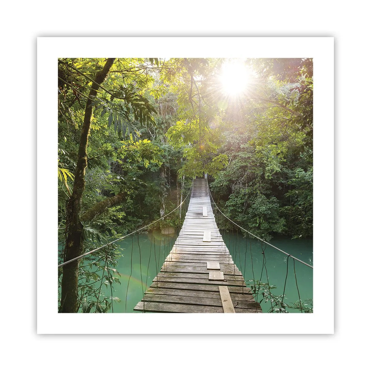 Pôster - Da água azul para a floresta azul - 50x50 cm