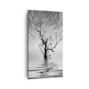 Quadro em tela - Sinfonia da natureza - 45x80 cm