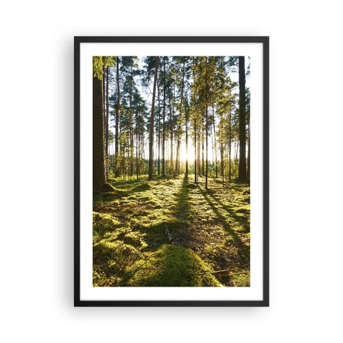 Pôster com moldura preta - Floresta verde pela manhã com os raios do sol nascente - 50x70cm - ...Além das sete florestas - Decoração de parede moderna para a sala de estar e quarto ARTTOR