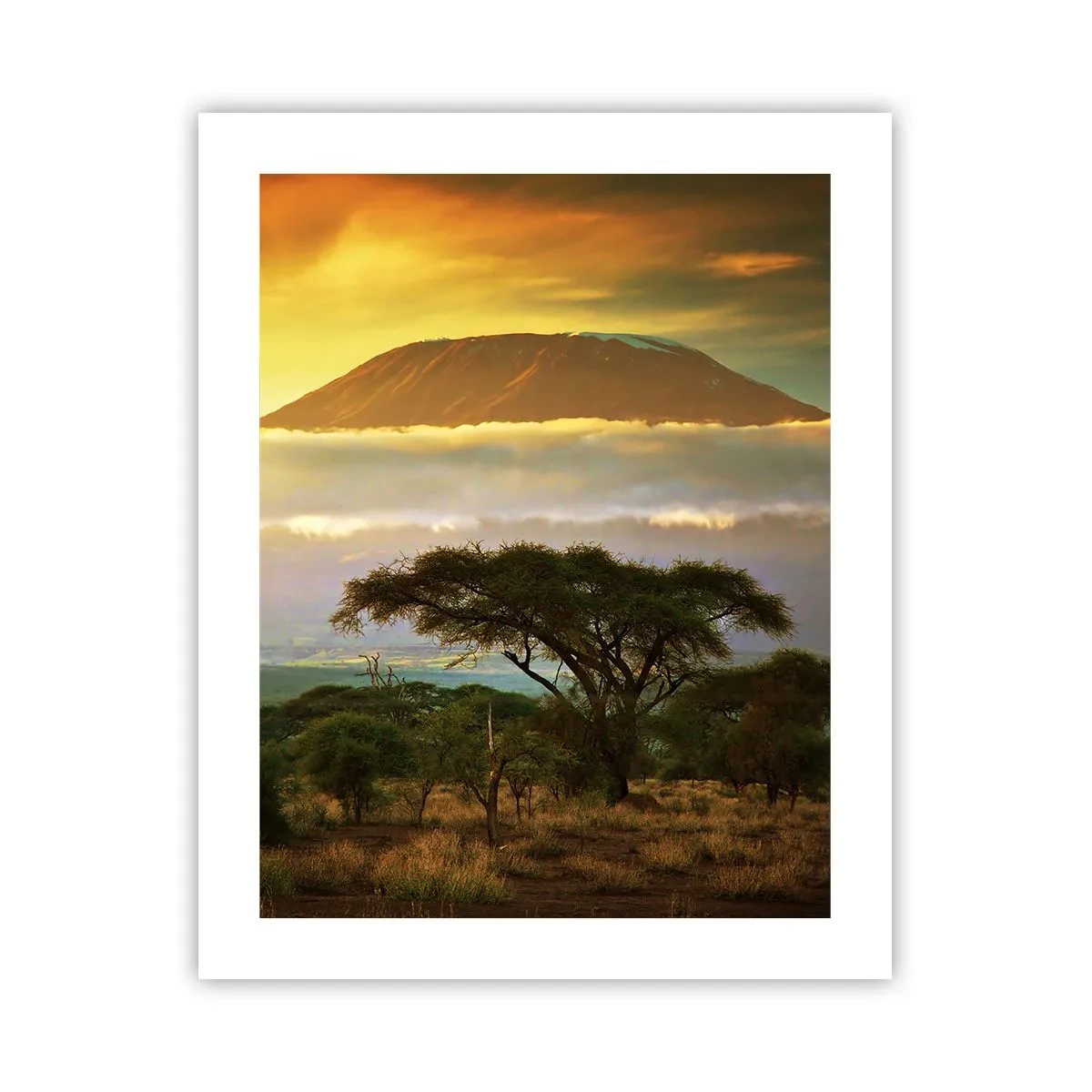 Pôster - O sonho do viajante - 40x50 cm