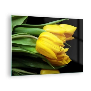 Quadro em vidro - Tulipas amarelas em um fundo preto em uma foto elegante - 70x50cm - Feitas a partir do sol - Decoração de parede moderna para a sala de estar e quarto ARTTOR