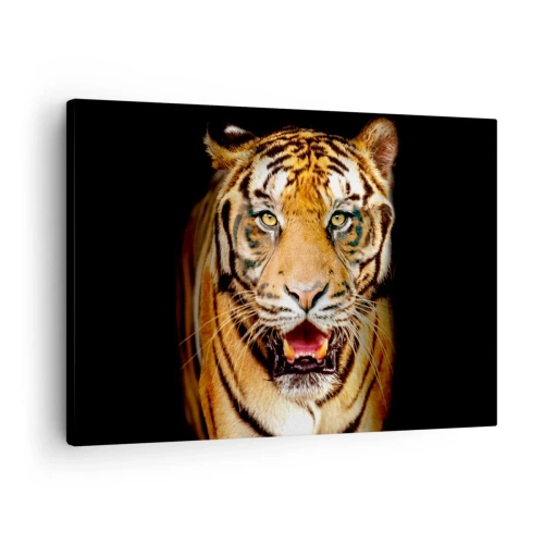 Quadro em tela - Um tigre com a boca aberta sobre um fundo preto - 70x50cm - Coração selvagem - Decoração de parede moderna para a sala de estar e quarto ARTTOR