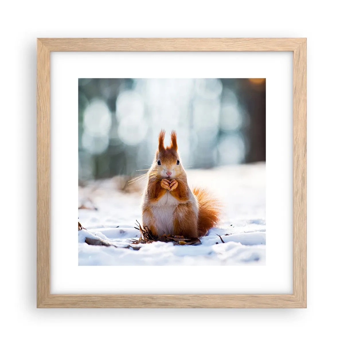 Pôster com moldura de carvalho claro - Para o que estás a olhar? - 30x30 cm