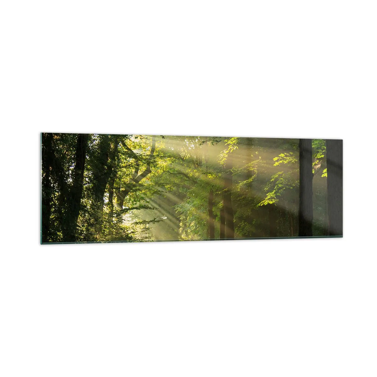 Quadro em vidro - Momento florestal - 160x50 cm