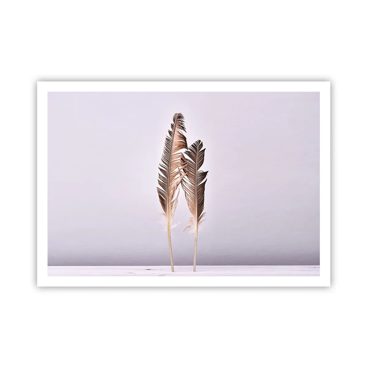 Pôster - Contra o nada - 100x70 cm