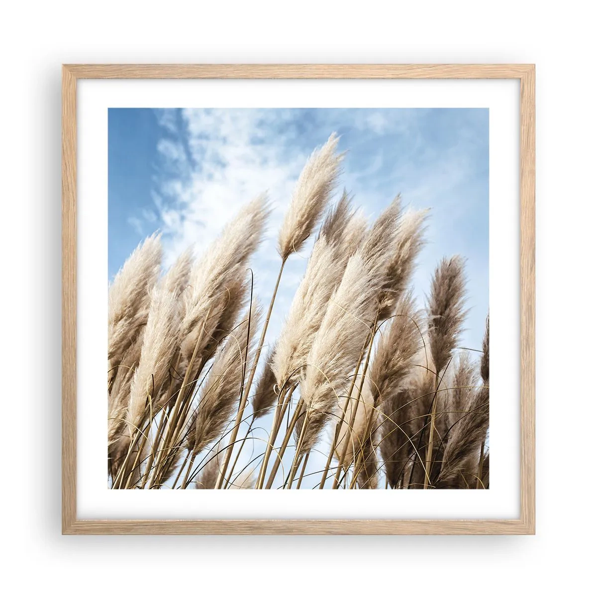 Pôster com moldura de carvalho claro - Carícia ensolarada e ventosa - 50x50 cm