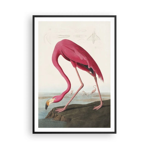 Pôster com moldura preta - Uma criatura surpreendente - 70x100 cm