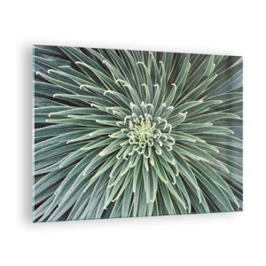 Quadro em vidro - Roseta simétrica de folhas verdes em macrofotografia - 70x50cm - Nasce uma estrela - Decoração de parede moderna para a sala de estar e quarto ARTTOR