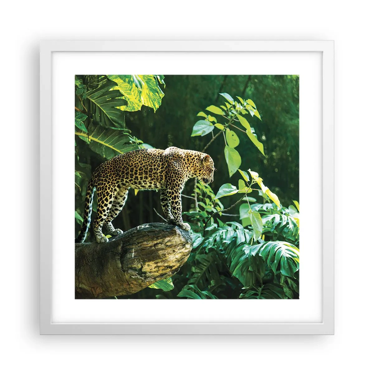 Pôster em moldura branca - Vamos caçar? - 40x40 cm