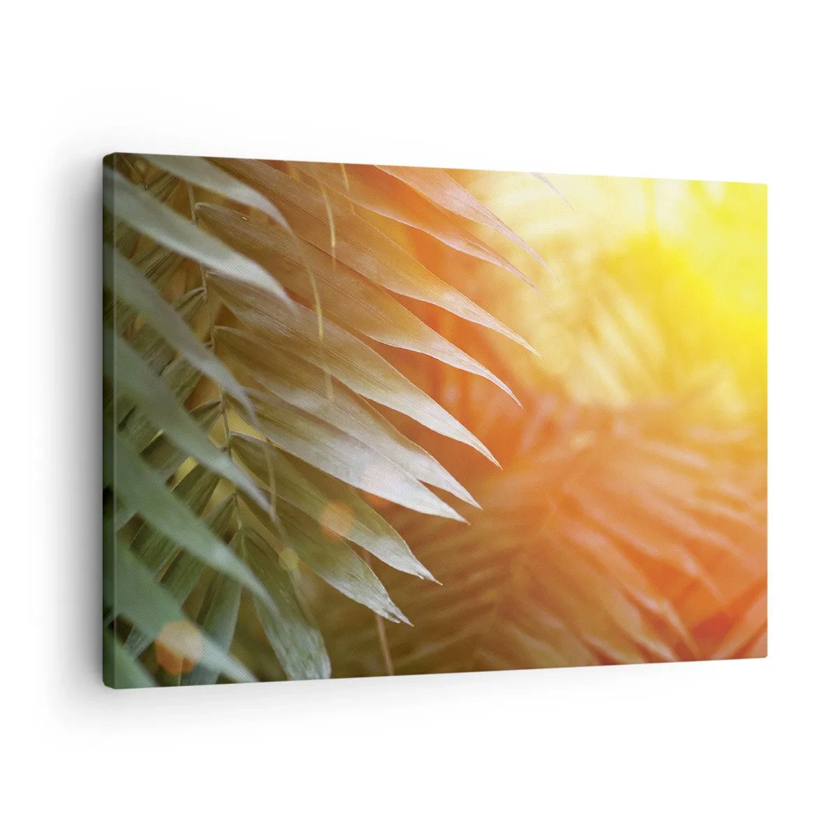Quadro em tela - Folhas de palmeira sob os raios do pôr do sol - 70x50cm - Manhã na selva - Decoração de parede moderna para a sala de estar e quarto ARTTOR