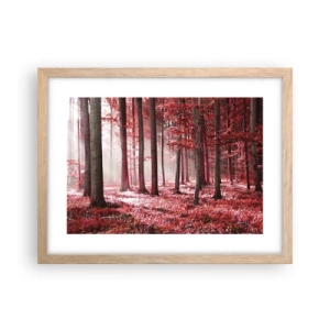 Pôster com moldura de carvalho claro - O vermelho também é belo - 40x30 cm